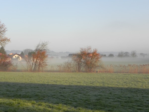 Covid 19 - Massnahmen -Maskenpflicht